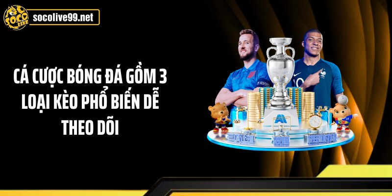 Cá cược bóng đá gồm 3 loại kèo phổ biến dễ theo dõi