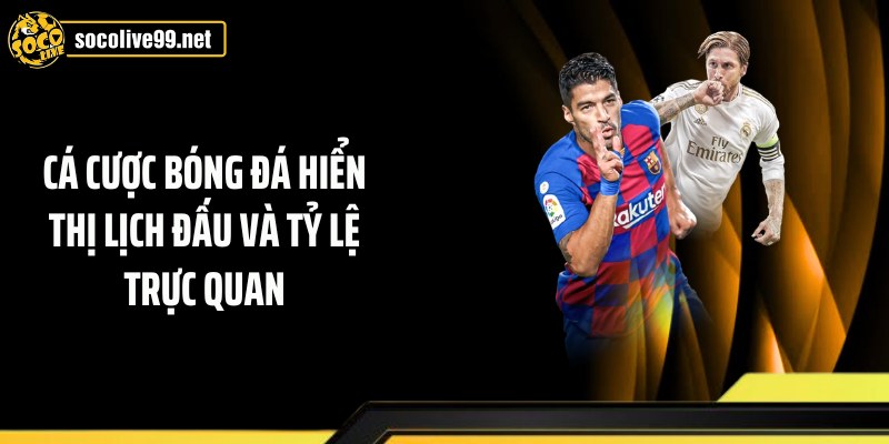 Cá cược bóng đá hiển thị lịch đấu và tỷ lệ trực quan