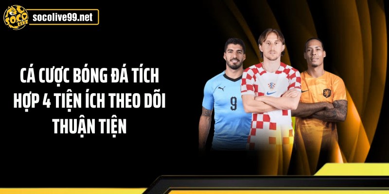 Cá cược bóng đá tích hợp 4 tiện ích theo dõi thuận tiện